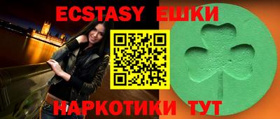 индика Кингисепп