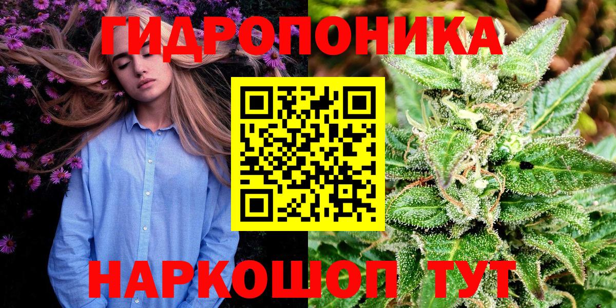 Марихуана OG Kush Чернушка